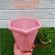 Pot bunga segi enam / pot bunga cantik murah / pot tinggi / pot bunga murah / pot bunga warna pink