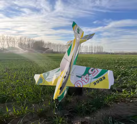 RC Plane 4D Vector EPP F3P Indoor Outdoor RC Airplane 850mm Wingspan Anti Collision Board F3P Remote