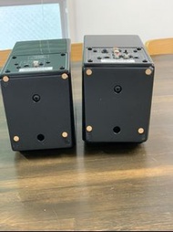 ONKYO 翁京揚聲器 DP-M1 產品