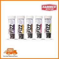ENDUROLYTES FIZZ by Hammer Nutrition
