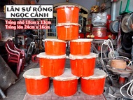 Trống lân trẻ em trống múa lân mini bằng gỗ (kèm 2 dùi)