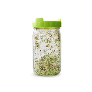 MasonJar SproutingLids American Clover Germination Bottle Mason Jar Household Green Bean Sprout Glas