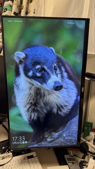 AOC 27 4K Mon U2790VQ