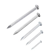 Galvanized Concrete Nails 1 box 250g White DN Concrete Nails White Galvanized Wall Nails/
