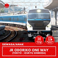 Tiket Kereta JR Odoriko Tokyo Izukyu-Shimoda | One Way Ticket