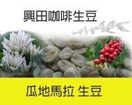 瓜地馬拉7年冠軍 艾茵赫特莊園 紅卡杜艾 水洗【每包500公克】【興田咖啡生豆】精品咖啡生豆