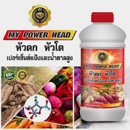 MY POWER HEAD มาย พาวเวอร์ เฮด ปุ๋ย หัวดก หัวโต เปอร์เซ็นต์แป้งและน้ำตาลสูง PSK2005