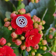 S1227F2 S925 Silver Five Emperor Money Beads, About 9.3mm,