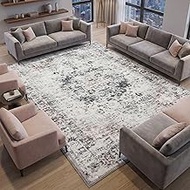 8x10 Area Rugs for Living Room, Washable Runner Rugs for Bedroom, 5x7 Entryway Hallways Clearance Ki