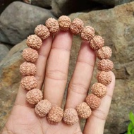 💎💎 rudraksha jenitri mukhi 6 ( ✔)