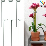 ABMK~Plant Stakes For Flowers Single Garden Orchid Stem Plant Support Elegant Design
