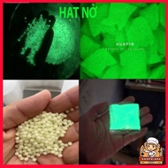 5000 7-8mm dark blooming seeds automatically glow luminous blooming seeds