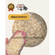 Beras Hancur Repack 1kg 3kg 5kg l Beras Haiwan / Makanan Anjing Ayam Itik Burung l Fresh Dari Kilang
