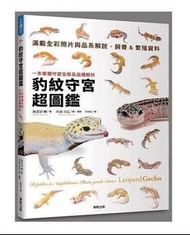 豹紋守宮超圖鑑