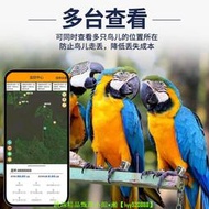 新款大鴿大品寧鴿子定位足環gps北斗實時跟蹤定儀器鳥飛禽防丟器