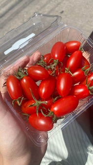 TOMAT CHERRY MERAH SEGAR ISI - 500 gram
