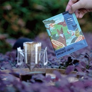 【尋品咖啡・兩件5折】精品濾掛式咖啡 - 衣索比亞 水洗 10入盒