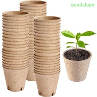GUADALUPE 50pcs Biodegradable Plant Paper Pot, 8CM Disposable Plant Starter Pot, Seedlings Plant Pot Eco-Friendly Round Pulp Peat Pot Seedlings Plant