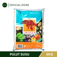 CAP UDANG Beras Pulut Susu Putih 5KG