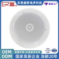 22cm Background Music Ceiling Audio 205mm8 Euro 15-25W Ceiling Dedicated Hi-Fi Speaker Speaker