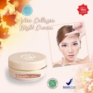 VIVA Collagen Night Cream - cream malam viva 22 gr