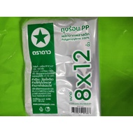 Hot Bag Pp8x12 Star Brand