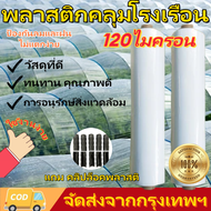 พลาสติกคลุมโรง พลาสติก PE หนา 120/150/200 ไมครอน UV7% กันฝนกันฝุ่น พลาสติกคลุมโรงเรือน พลาสติกใสกันฝ
