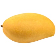 มะม่วงแก้วสุก 1 กก.