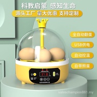 Mini 4 Pieces 6 Pieces Chicken Incubator Small Household Science Education Incubator Cross-Border Intelligent Automatic Egg Incubator