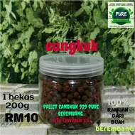 pallet cangkuk 929 mix berembang strawberri umpan khas untuk patin/mekong dan ikan air tawar