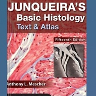 Junqueira's Basic Histology Text and Atlas Book