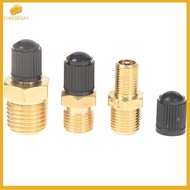 [Chday-t] Automobile Tire Valve Core Tire Valve Tire Pressure Monitoring 1/4 1/8 NPT Valve