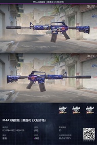 CSGO CS2 Skin M4A1消音版 黑蓮花 戰場實測