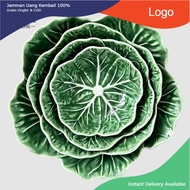 [2024 Hot Cabbage Bowl] Green Cabbage Bowl Retro French Hand-painted Bowl and Plate Country Art Plat