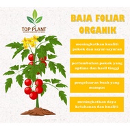 ☋♤CUKA KAYU THAILAND WOOD VINEGAR ORGANIC ANTI SERANGGA POKOK BAJA FOLIAR PERTUMBUHAN POKOK ORGANIK