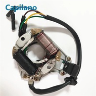 motorcycle scooter inner rotor kit ignition stator magneto coil DY100 for 100CC DY 100 parts in 2 po