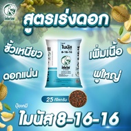 ปุ๋ยเร่งดอก ปุ๋ยเคมี ไมนัส 8-16-16 สะสมอาหาร ช่วงเตรียมดอกและติดผล ดอกดก ขั้วเหนียว ทรงสวย เร่งดอก