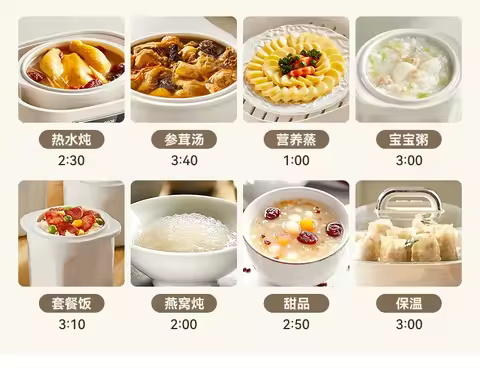 220V lotor Electric Steamer Ceramic Slow Cooker Automatic Soup Pot for Home Use AJ