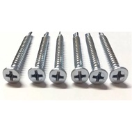 (100pcs) 7 25mm-50mm Hardiflex Screw Window Screw Flat Screw Flat Head Panhead Pan Head Screw