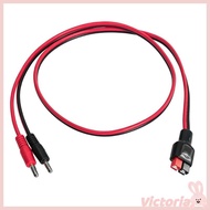VIC Power Connection Cable Two Slot Plugs to Double Banana Male Connectors 30A 45A Power Cord for So