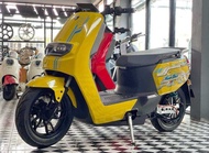 EV BIKE LION BRAND NEW