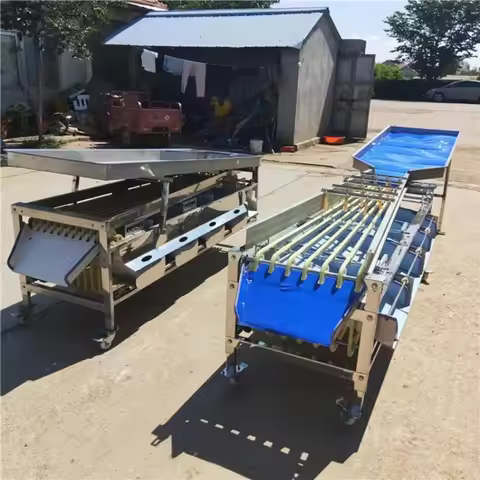 Fruit and Vegetable Sorter Cherry Date Size Grading Sorting Machine Passion Fruit Sorter Fruit Gradi