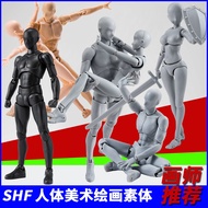 High quality version of SHF ferrite doll moving human body model sketch painting painting art reference cartoon hands do