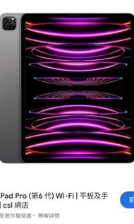 ipad pro 12.9 6th 256gb Wifi