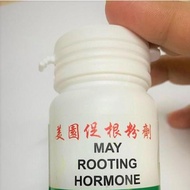 MAY ROOTING HORMONE, Plant Rooting Hormone Powder, Hormon Pertumbuhan Akar GARDEN GARDENING Penggala