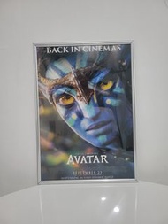 阿凡達 Avatar 電影海報連畫框