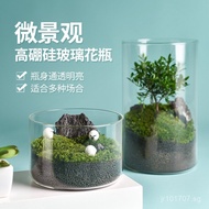 Glass Jar Ecological Bottle Vase Glass High Borosilicate Hydroponic Plant Decoration Large Vase Livi