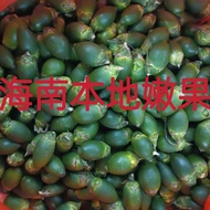 Hainanqing Betel Nut Grams Picked Leaf Shell Powder Raw Betel Nuts Freshly Picked Fresh Betel Nuts R