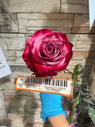 厄瓜多爾進口玫瑰 鮮花 50cm