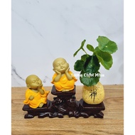 Innocent little monk set - love life in yellow shirt with base and lotus leaf pot